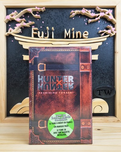 Manga hunter - hunter,