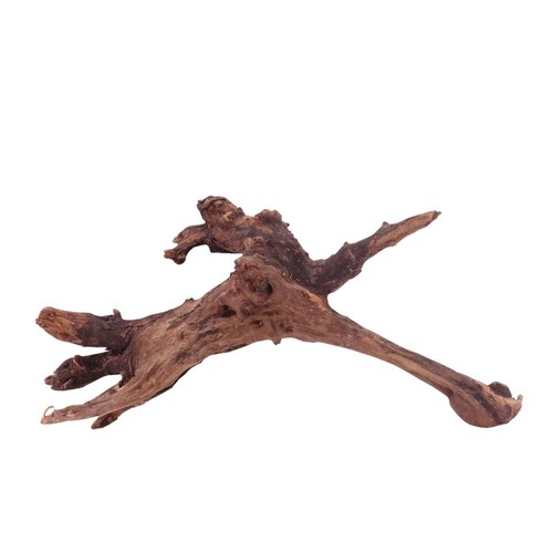 Driftwood racine fleuve - driftwood, de