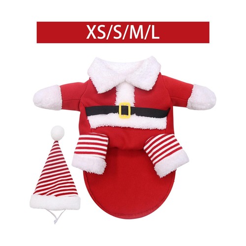 Costume mignon vêtements - mignon, de