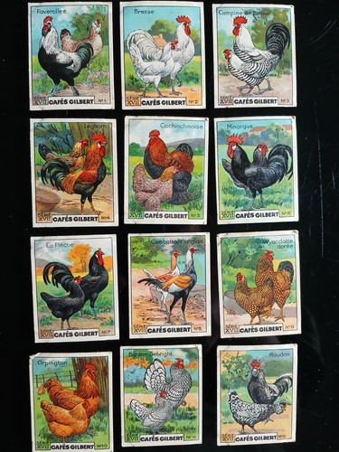 Chromo serie xvii poules - chromo,