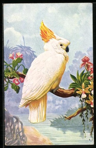 Carte postale artiste - carte, d'artiste
