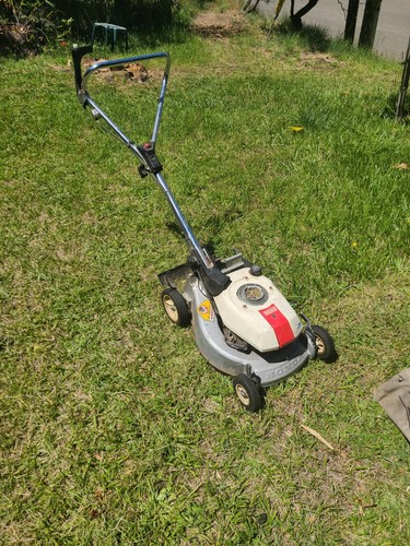 Honda lawn mower - lawn,