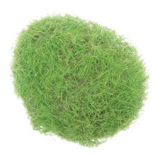  Aquarium Simulation Mossy Pierre Ornement Fish Tank Aménagement Paysager Décor