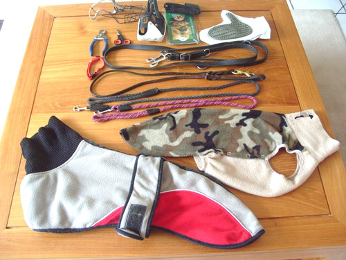 Gros lot accessoires chien - gros,
