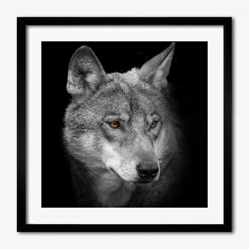 Tulup photo salon 50x50cm - photo, le