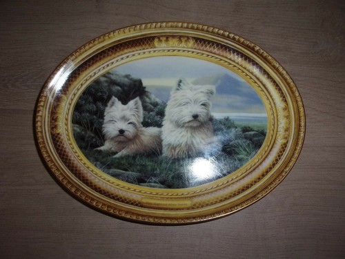 Assiette porcelaine anglaise - assiette,