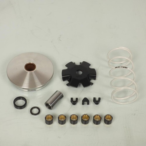 Variateur malossi pour - malossi, scooter