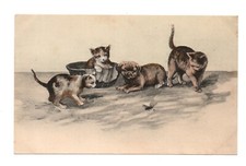 Cats, kittens, dog, puppy. Old postcard 7079