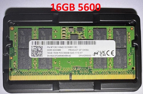 Ram 16gb ddr5 5600 mhz - ddr5,