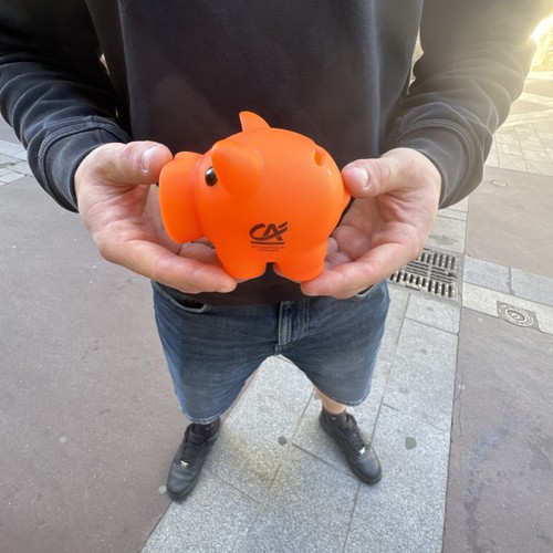 Cochon tirelire crédit - cochon,