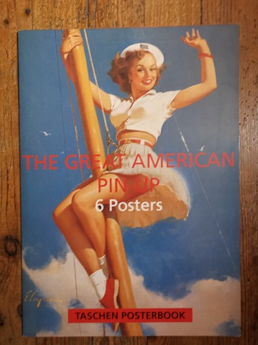 Pin aslan 6 posters - up,