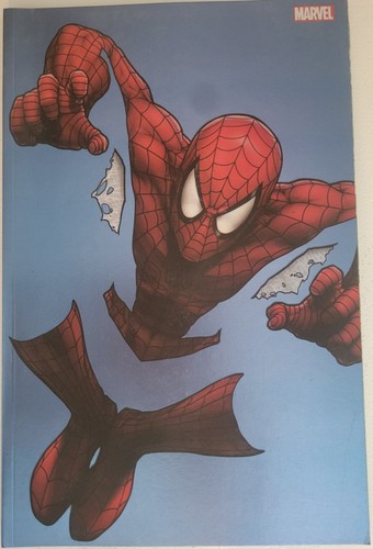 Spider man variant - spider-man, 1