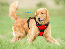 Harnais chien anti - harnais,
