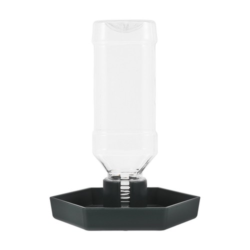 Plat eau tortue abreuvoir - plat, d'eau