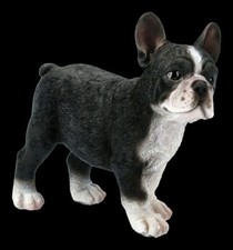 Chiens Figurine - Bouledogue