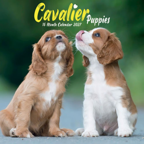 Carousel calendars cavalier - carousel, calendars,