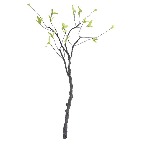 Bois mort branche arbre - bois, d'arbre
