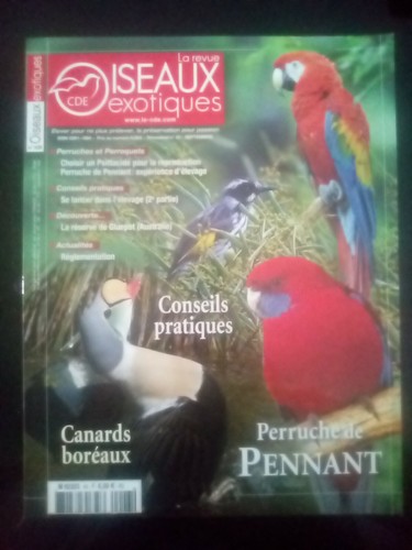 Revue des oiseaux exotiques - oiseaux,