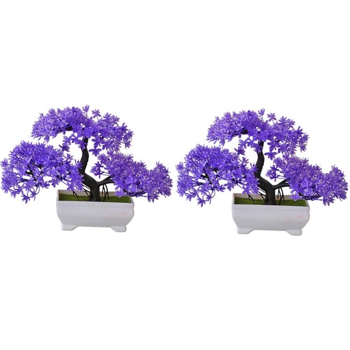Pièces plante - 1x(2,