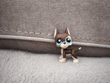 Authentique Littlest Pet Shop