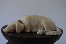 CHIEN SETTER en position