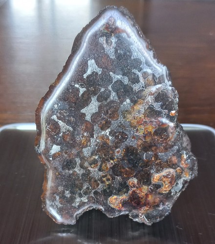 Sericho météorite pallasite - météorite,