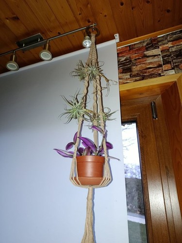 Porte plantes - porte,