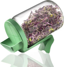 Germline BOC1 Germoir En