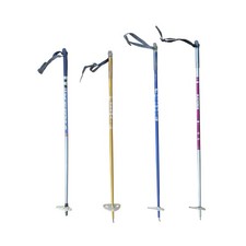 Bâtons de ski de fond