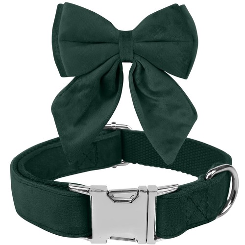 Noeud papillon chiens collier - papillon,
