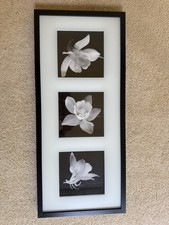 IKEA RIBBA Black Wall Photo