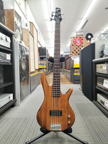 Guitare basse électrique