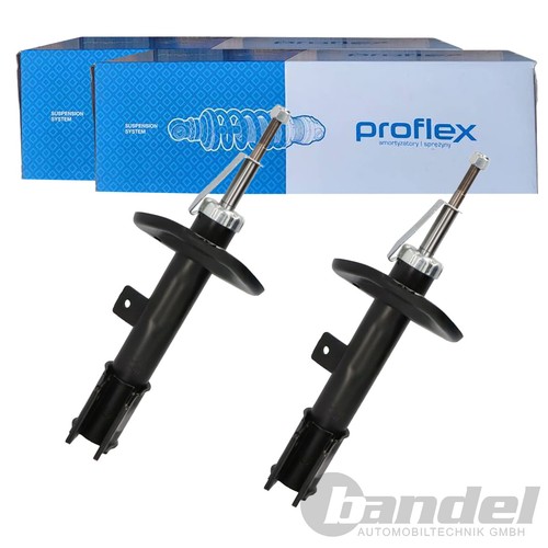 Proflex amortisseur gaz - 2x,