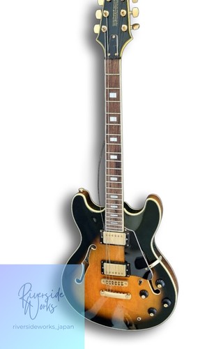 Guitare semi acoustique - guitare, aria