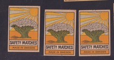 3 Antique Match Tag Sweden BN186461 Sun Shrub