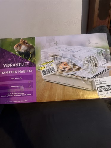 Vibrant life hamster - life, habitat