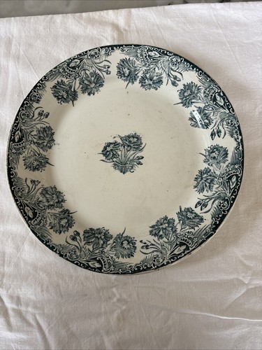 Grand plat terre fer - grand, de