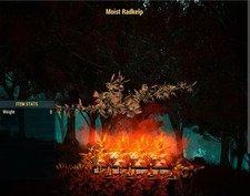 Fallout 76 - PC - Moist