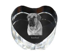 Boerboel - Photo De Chien En
