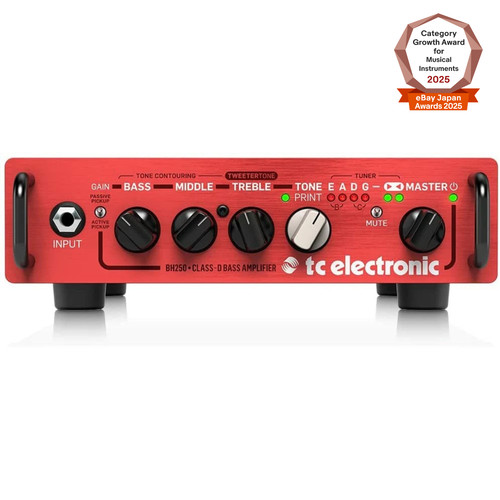 Electronic bh250 bass amp - tc,