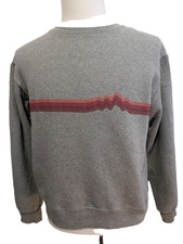 Sweat Patagonia Gris Col Rond