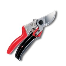 Ciseaux De Taille Ars Buis