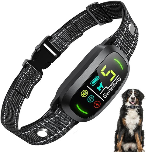 Collier anti aboiement chien - anti-aboiement,