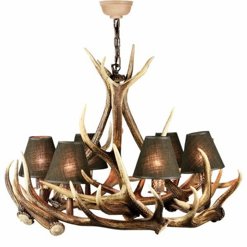Lustre avec vrai - de, cerf