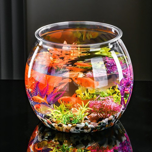 Aquarium rond vivier poisson - aquarium,