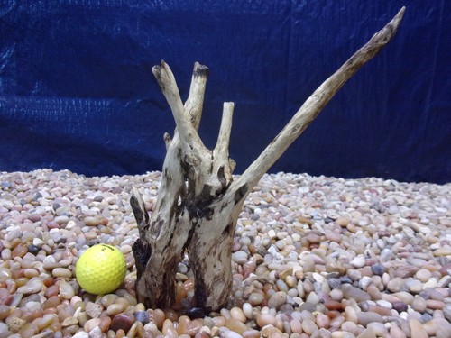 Small driftwood x08 - driftwood, 10"x08"x02"