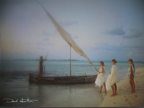 Carte postale david hamilton - ,