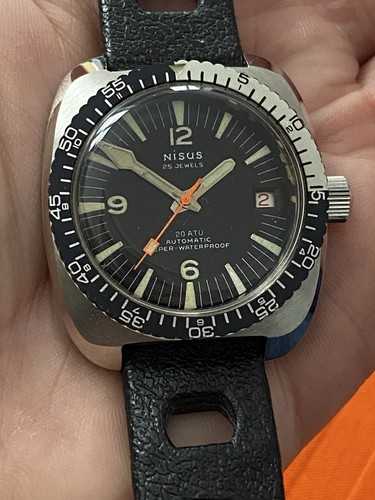 Montre nisus - nisus,
