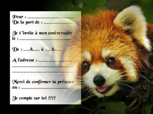 Cartes invitation - 5,