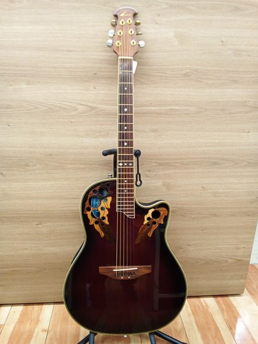Guitare acoustique électrique